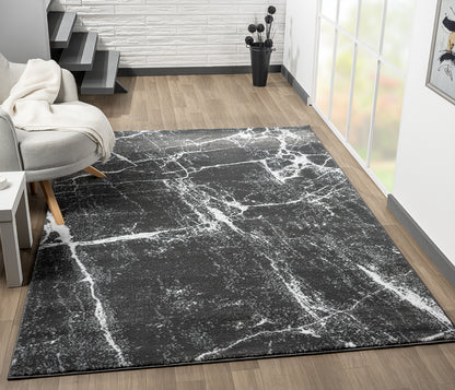 Festival Collection  Gray & White  Area Rug - 45170